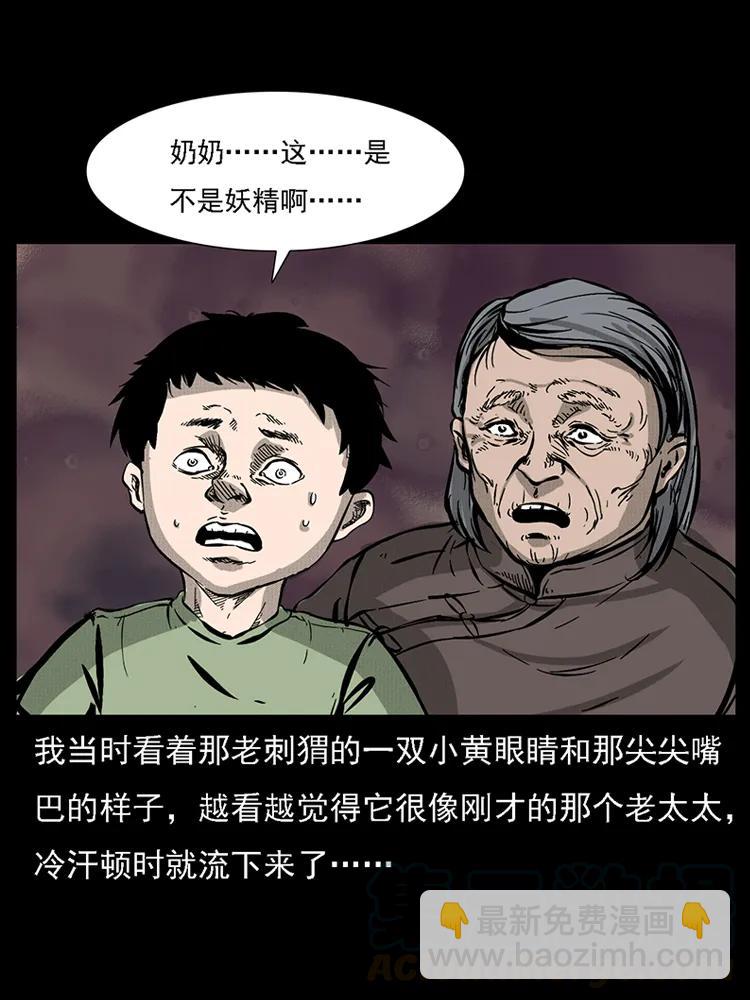 🍜幽冥诡匠 番外2 之保家白仙 第33页