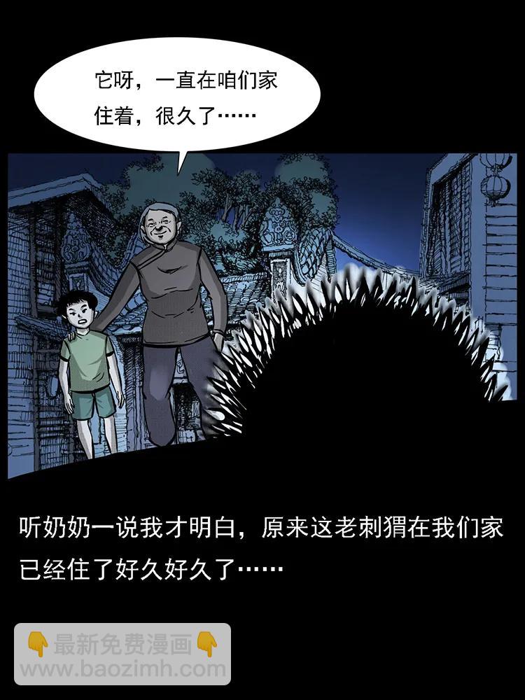 🍜幽冥诡匠 番外2 之保家白仙 第35页