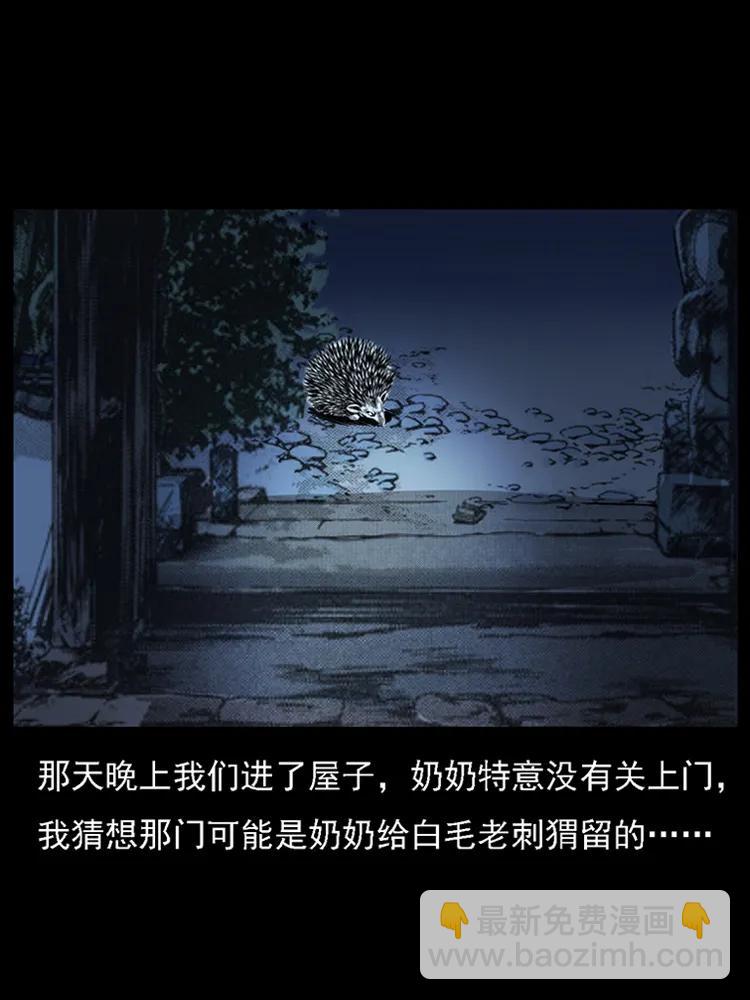 🍜幽冥诡匠 番外2 之保家白仙 第39页