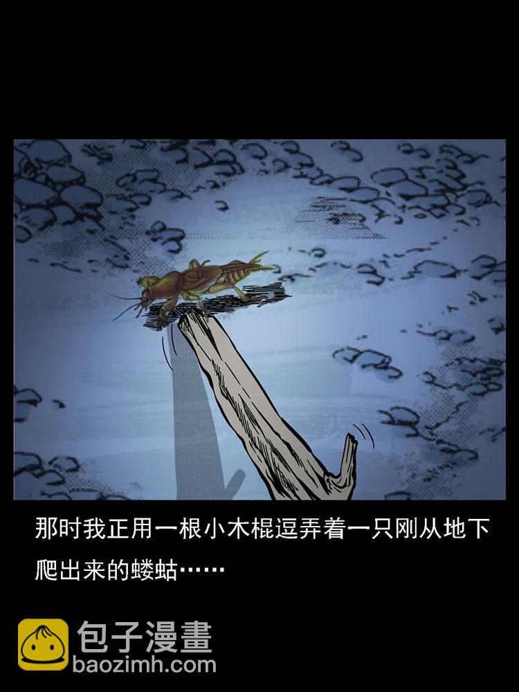 🍜幽冥诡匠 番外2 之保家白仙 第46页