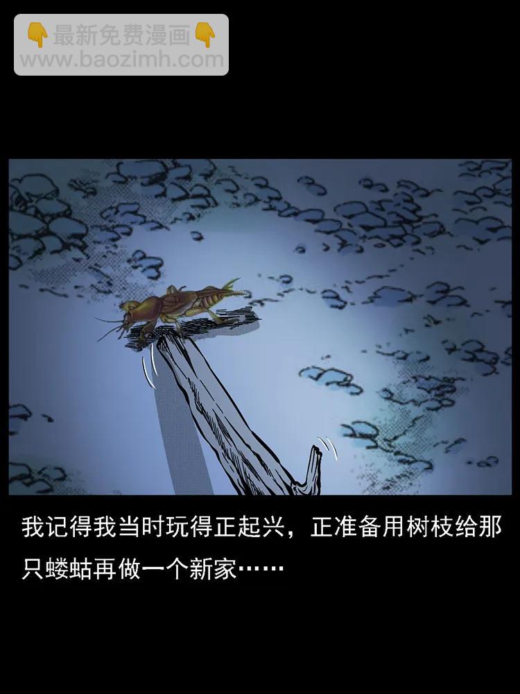 🍜幽冥诡匠 番外2 之保家白仙 第48页