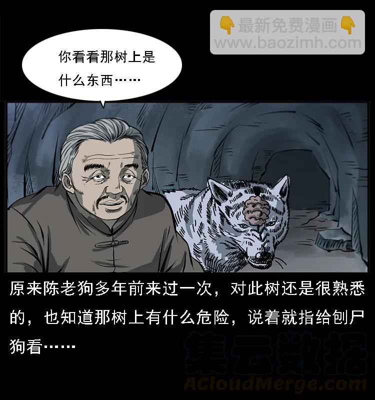 🍜幽冥诡匠 082 鬼桃树 第29页