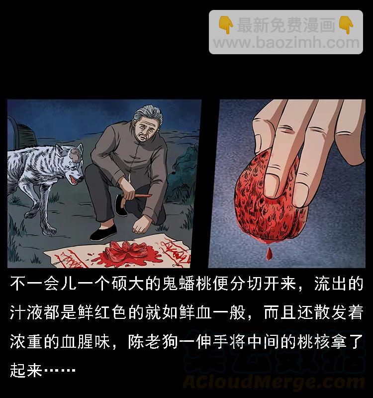 🍜幽冥诡匠 084 刨尸狗的妖化之路 第17页
