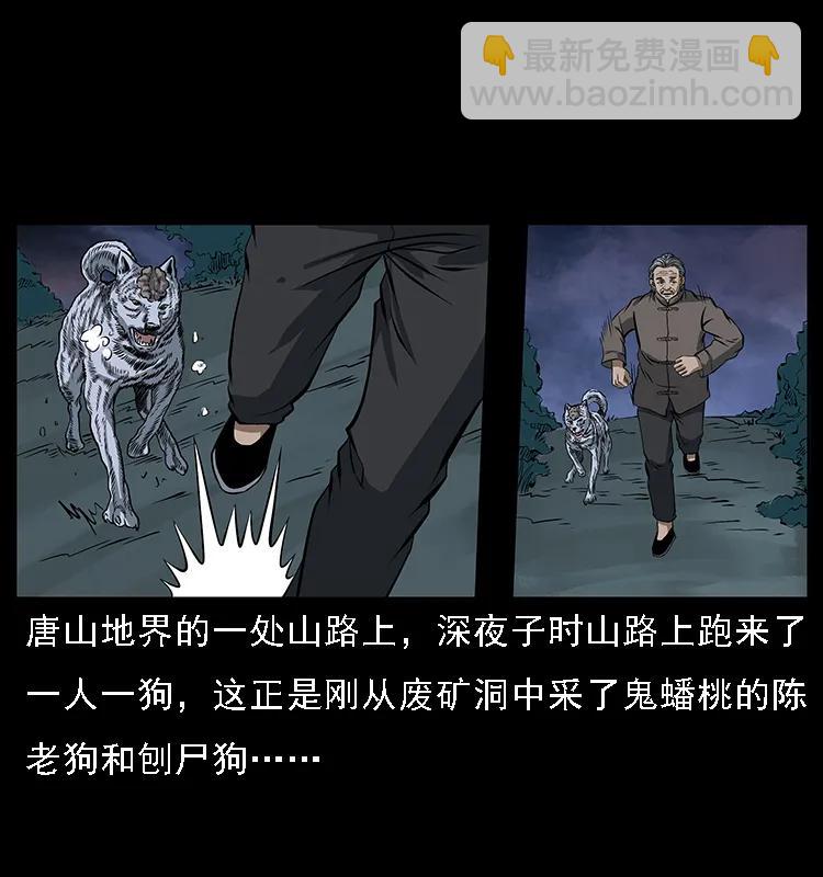 🍜幽冥诡匠 084 刨尸狗的妖化之路 第2页