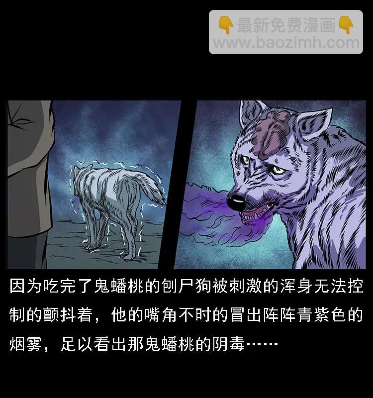🍜幽冥诡匠 084 刨尸狗的妖化之路 第23页