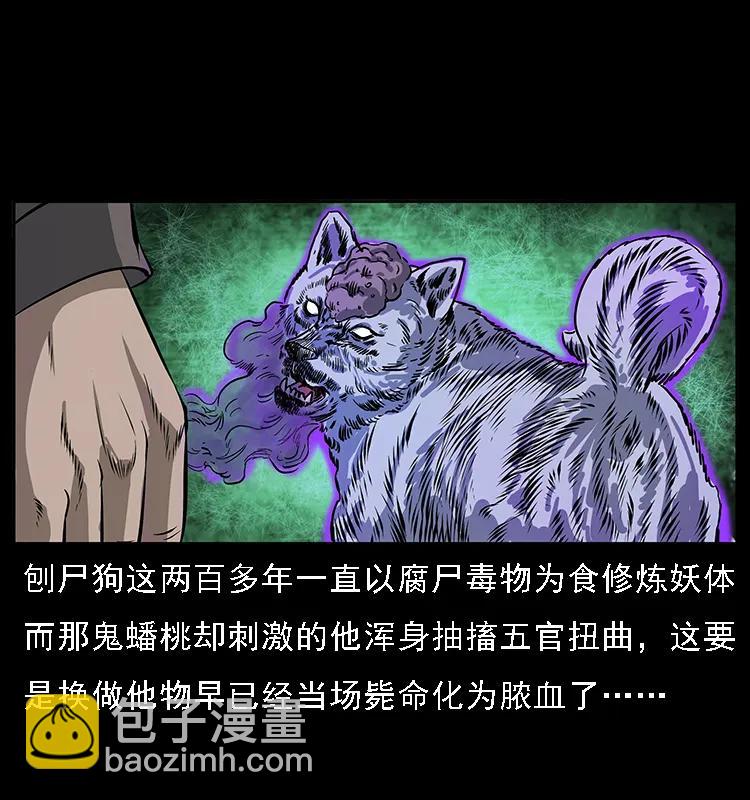🍜幽冥诡匠 084 刨尸狗的妖化之路 第24页