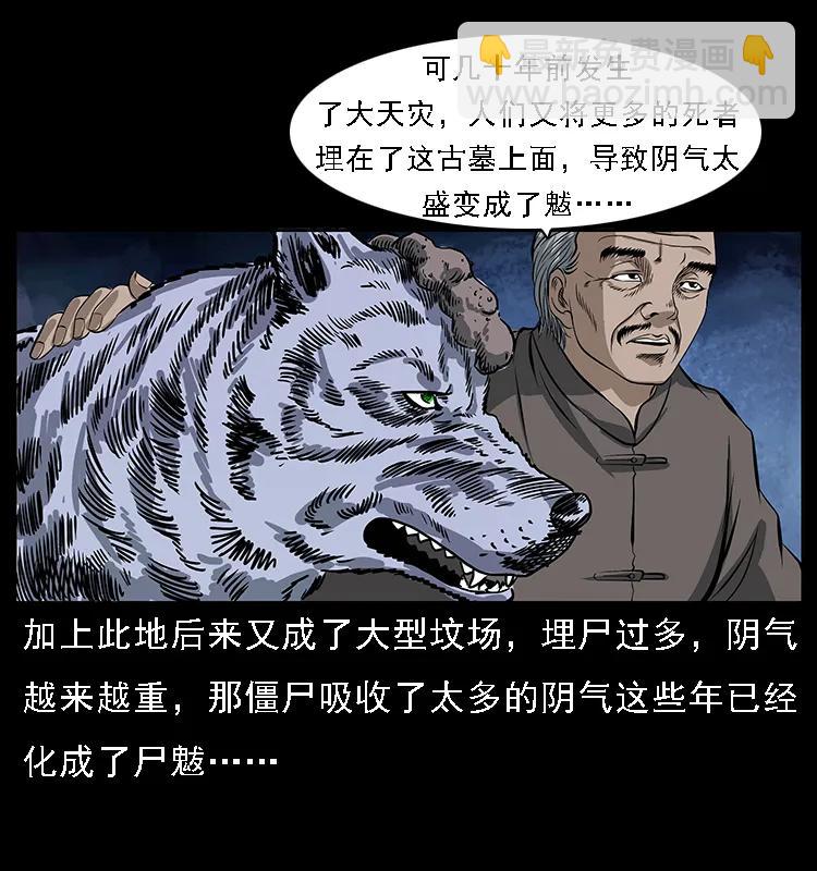 🍜幽冥诡匠 084 刨尸狗的妖化之路 第28页