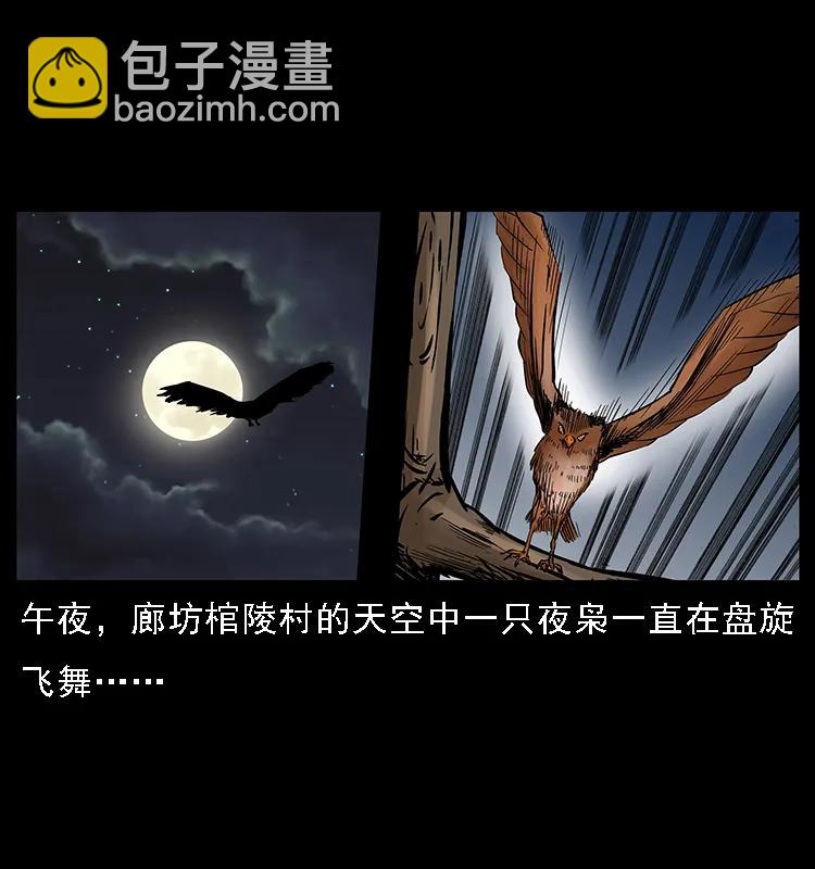 🍜幽冥诡匠 088 勾魂鸟夜枭 第2页