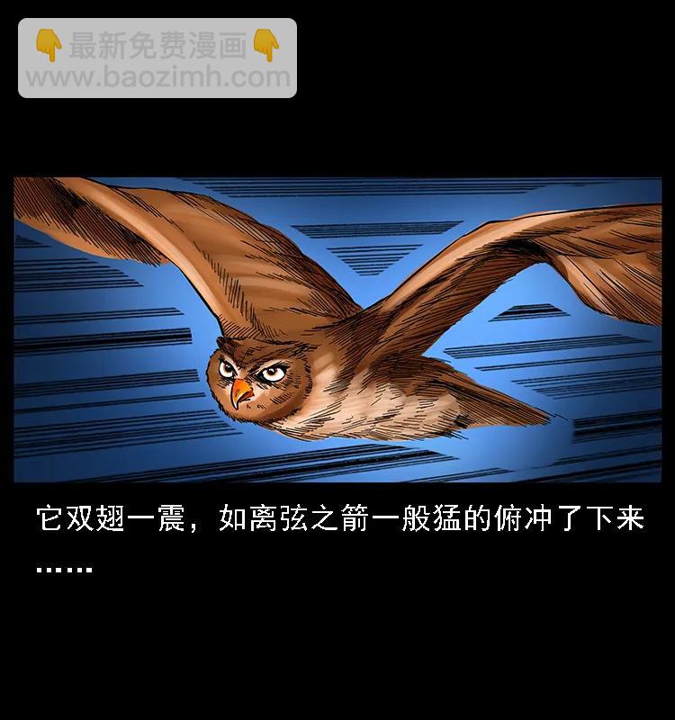 🍜幽冥诡匠 088 勾魂鸟夜枭 第26页