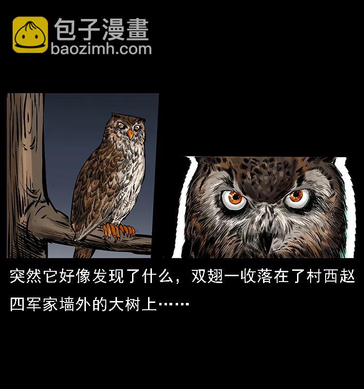 🍜幽冥诡匠 088 勾魂鸟夜枭 第3页