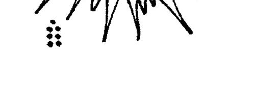 🍜幽默漫画系列 意外 第29页