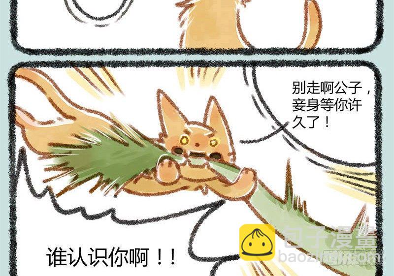 🍜有兽焉 人生若只如初见，一不小心生俩蛋 第11页