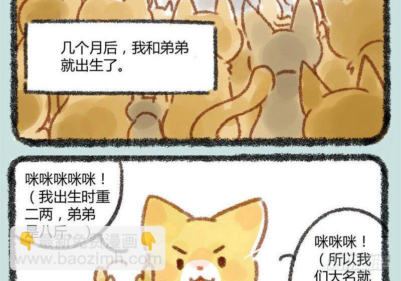 🍜有兽焉 人生若只如初见，一不小心生俩蛋 第15页