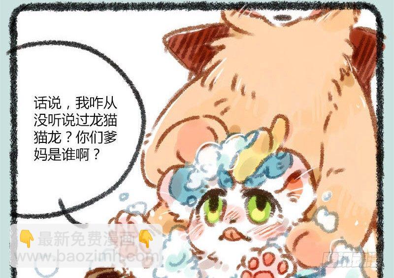 🍜有兽焉 人生若只如初见，一不小心生俩蛋 第2页