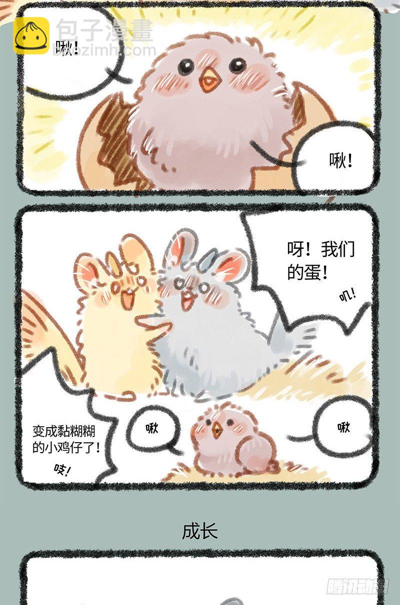 🍜有兽焉 养鸡！ 第3页