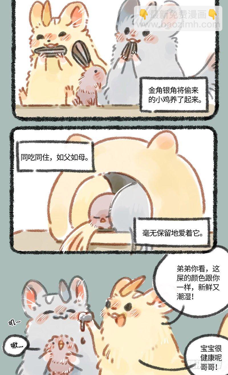 🍜有兽焉 养鸡！ 第4页