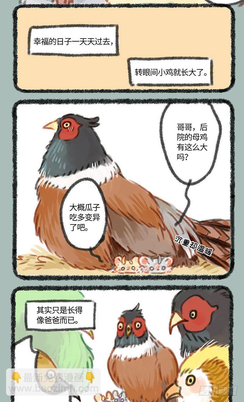 🍜有兽焉 养鸡！ 第5页