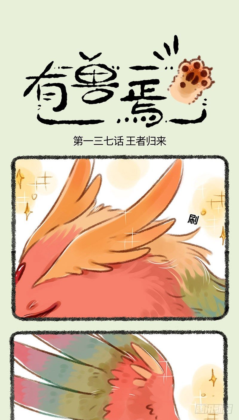 🍜有兽焉 脱发者的福音！！ 第1页