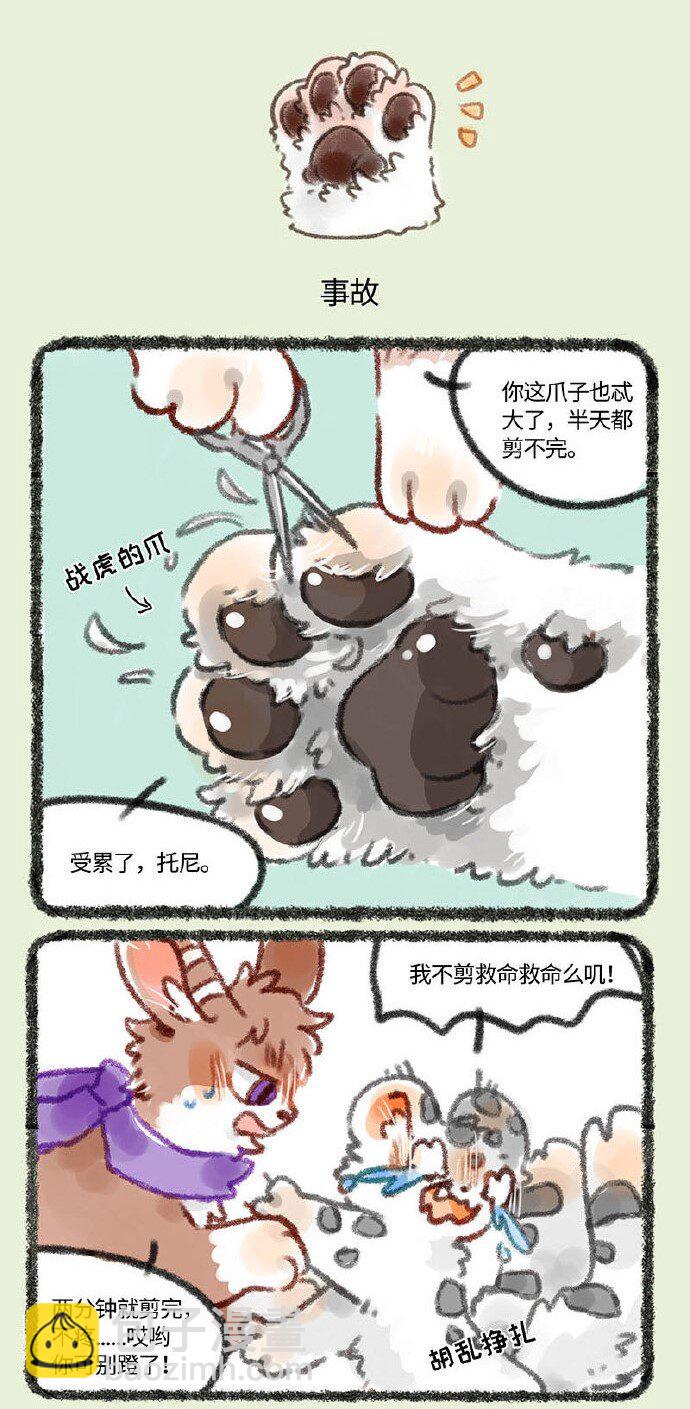 🍜有兽焉 244 剪爪毛 第4页