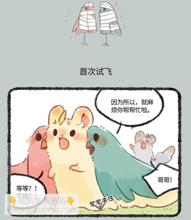 🍜有兽焉 271 比翼鸟合体需谨慎 第5页