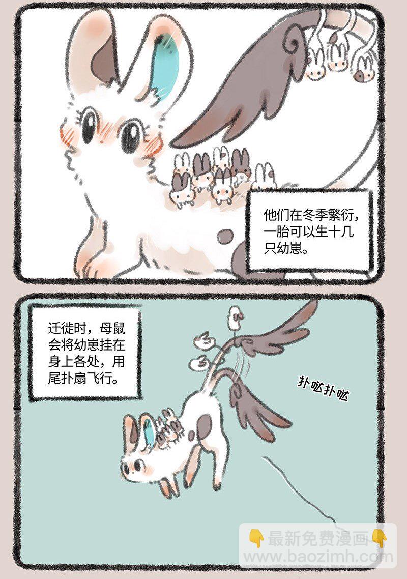 🍜有兽焉 283 耳鼠 第3页