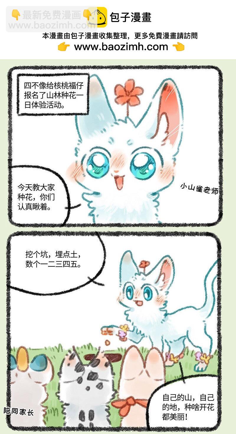 🍜有兽焉 323 种花体验 第2页