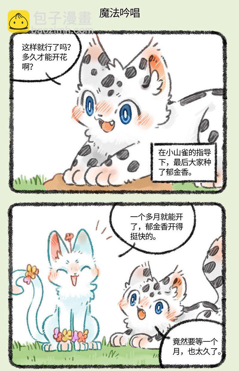 🍜有兽焉 323 种花体验 第5页