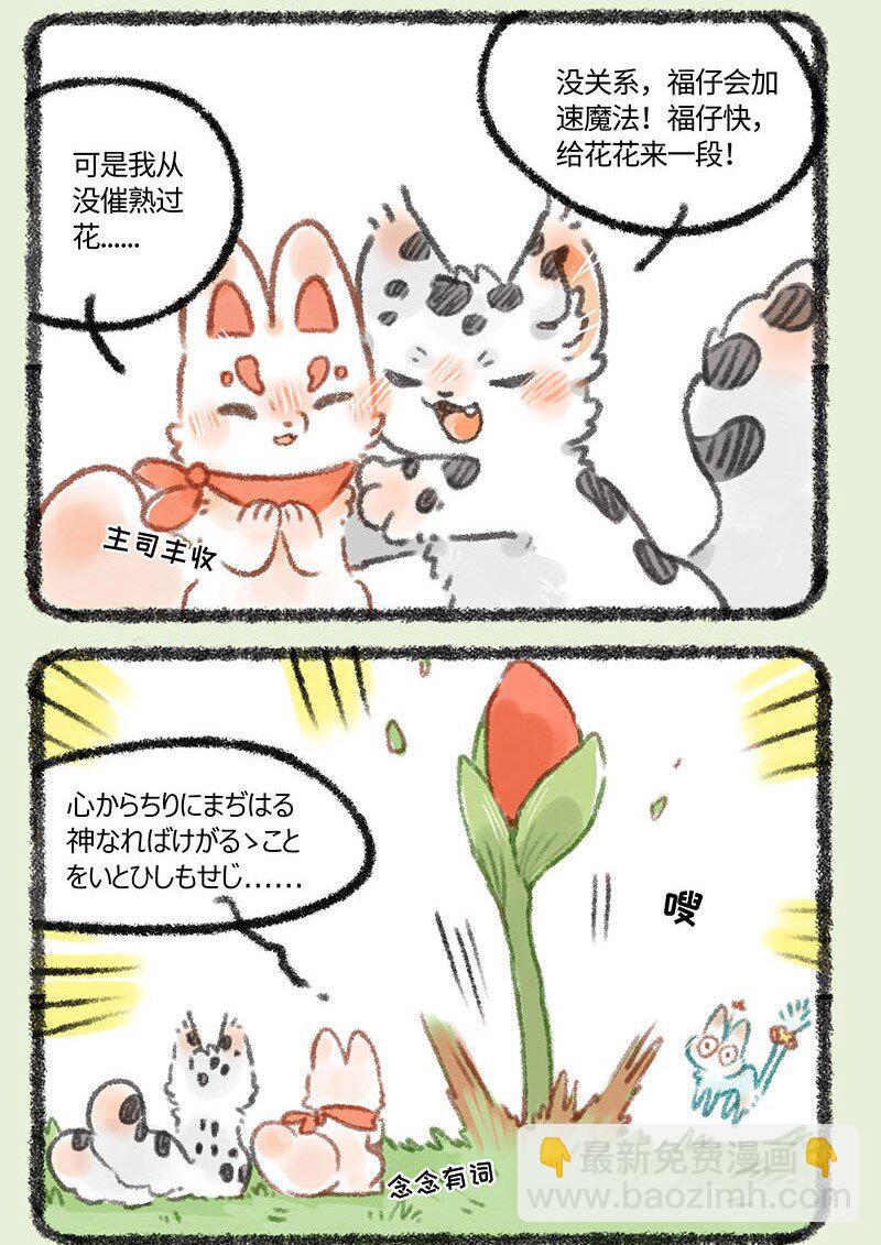 🍜有兽焉 323 种花体验 第6页
