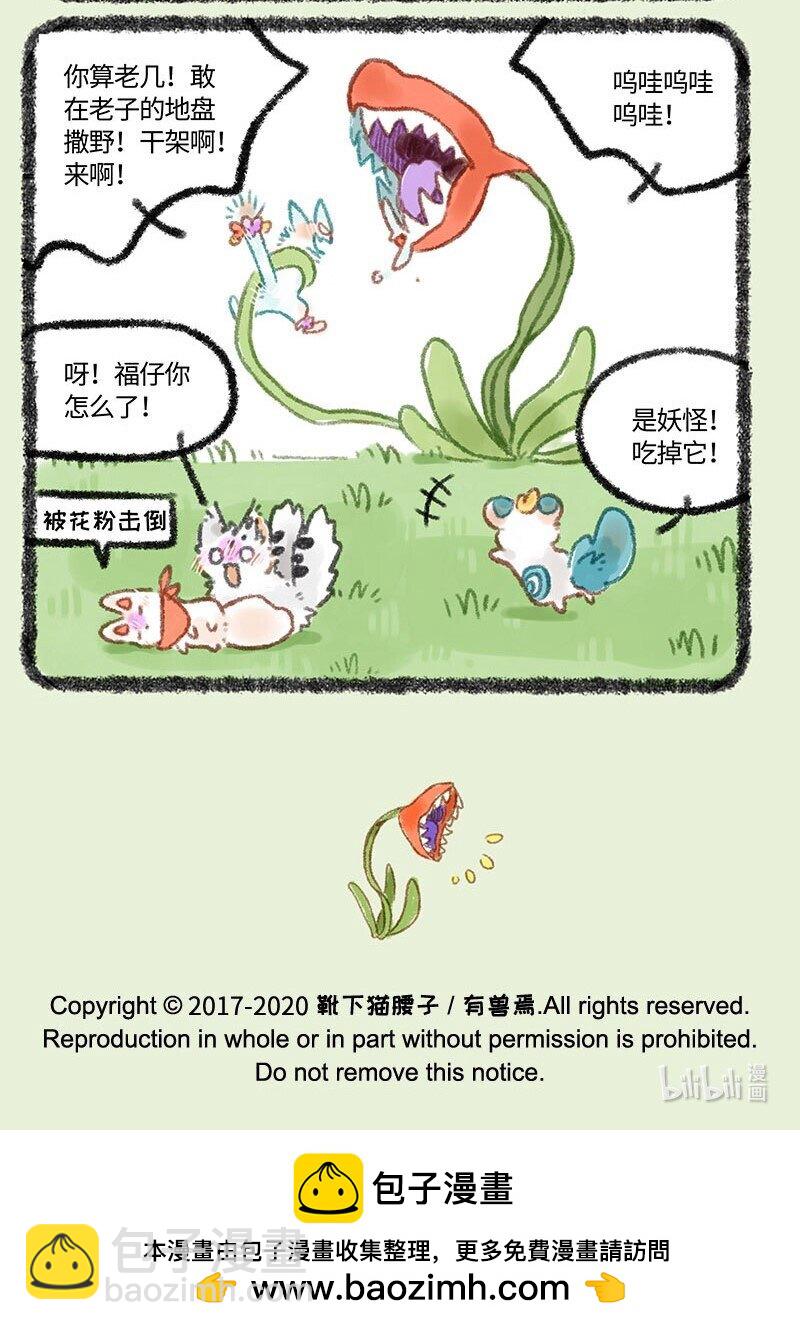 🍜有兽焉 323 种花体验 第7页
