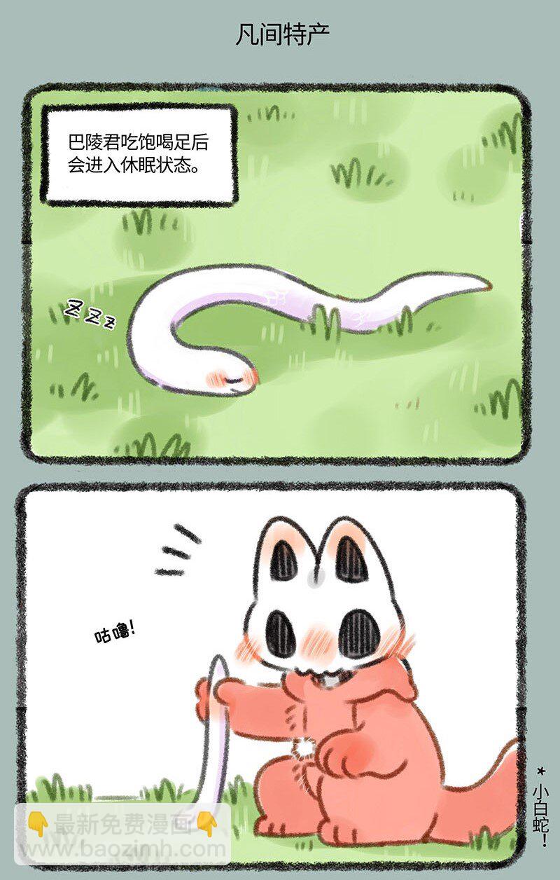 🍜有兽焉 328 凡间考察 第5页