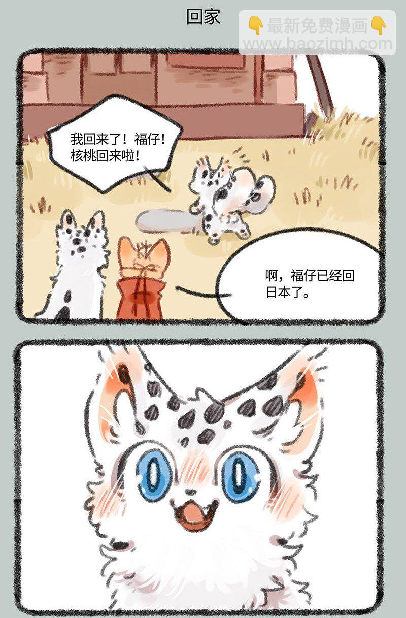 🍜有兽焉 401 四不像身份 第5页