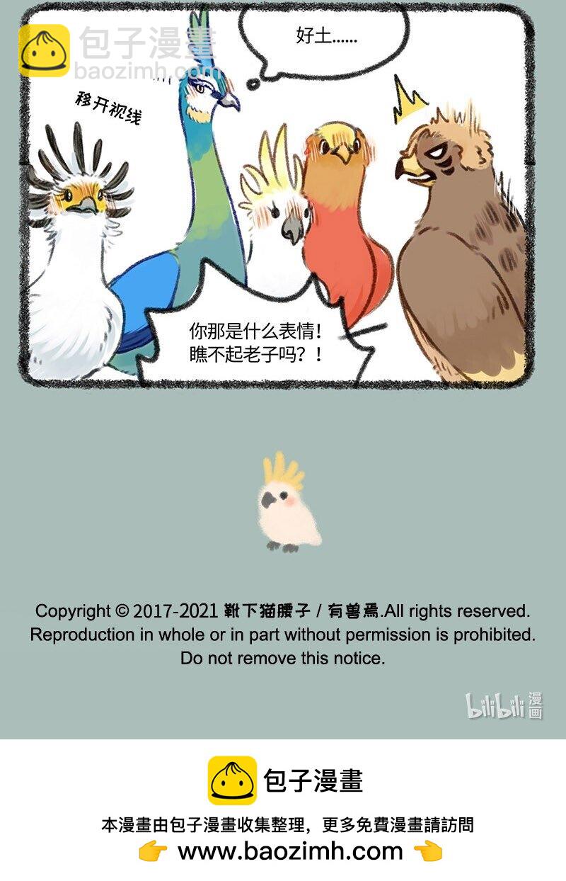 🍜有兽焉 411 百鸟朝凤新年会 第7页