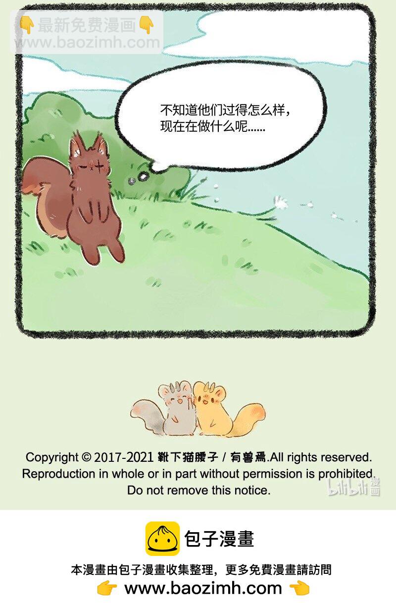 🍜有兽焉 493 松鼠大哥的近况 第7页