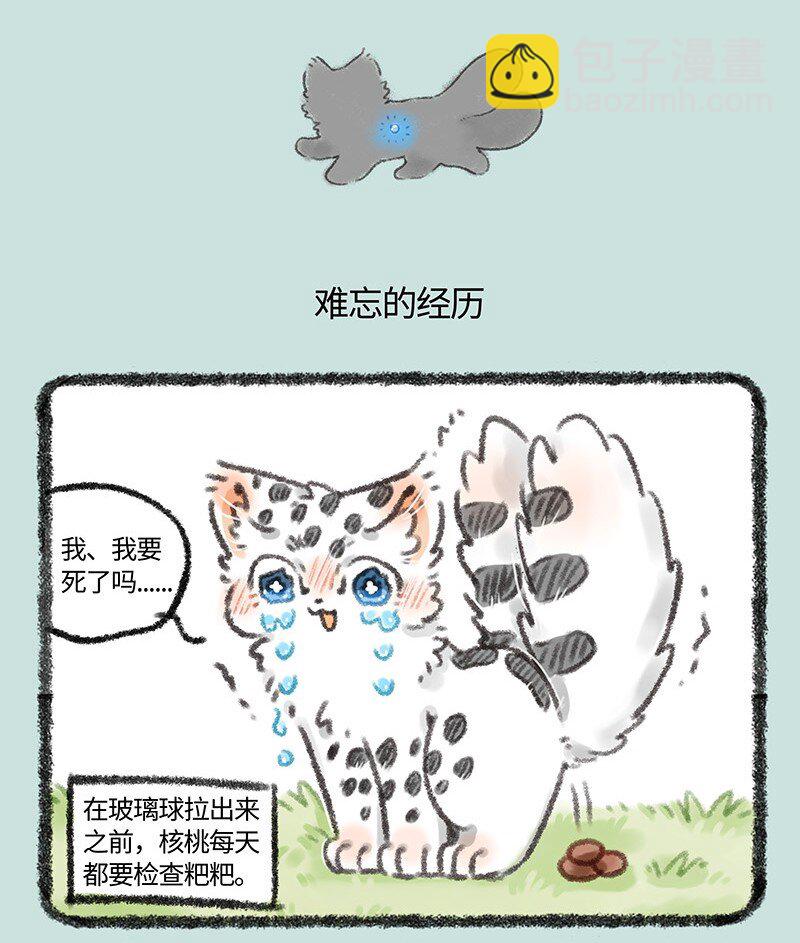 🍜有兽焉 516 小朋友不要模仿哦 第4页