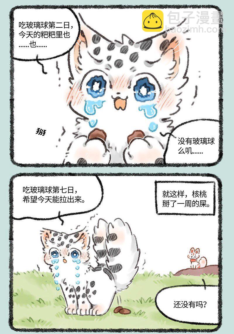 🍜有兽焉 516 小朋友不要模仿哦 第5页