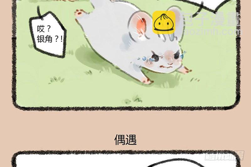 🍜有兽焉 鼠生艰难 第6页