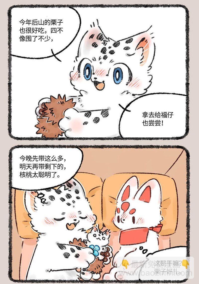🍜有兽焉 552 被狐狸包围的核桃 第6页