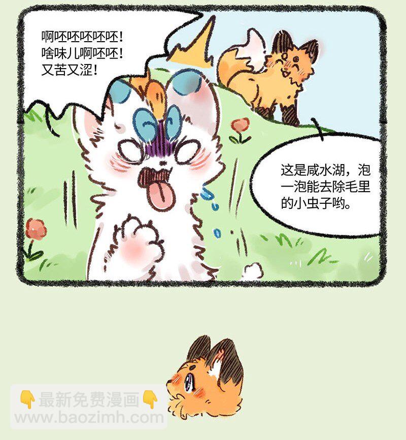 🍜有兽焉 558 泡澡专用咸水湖 第4页