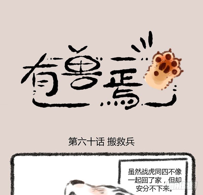 🍜有兽焉 白虎也是喵~ 第1页
