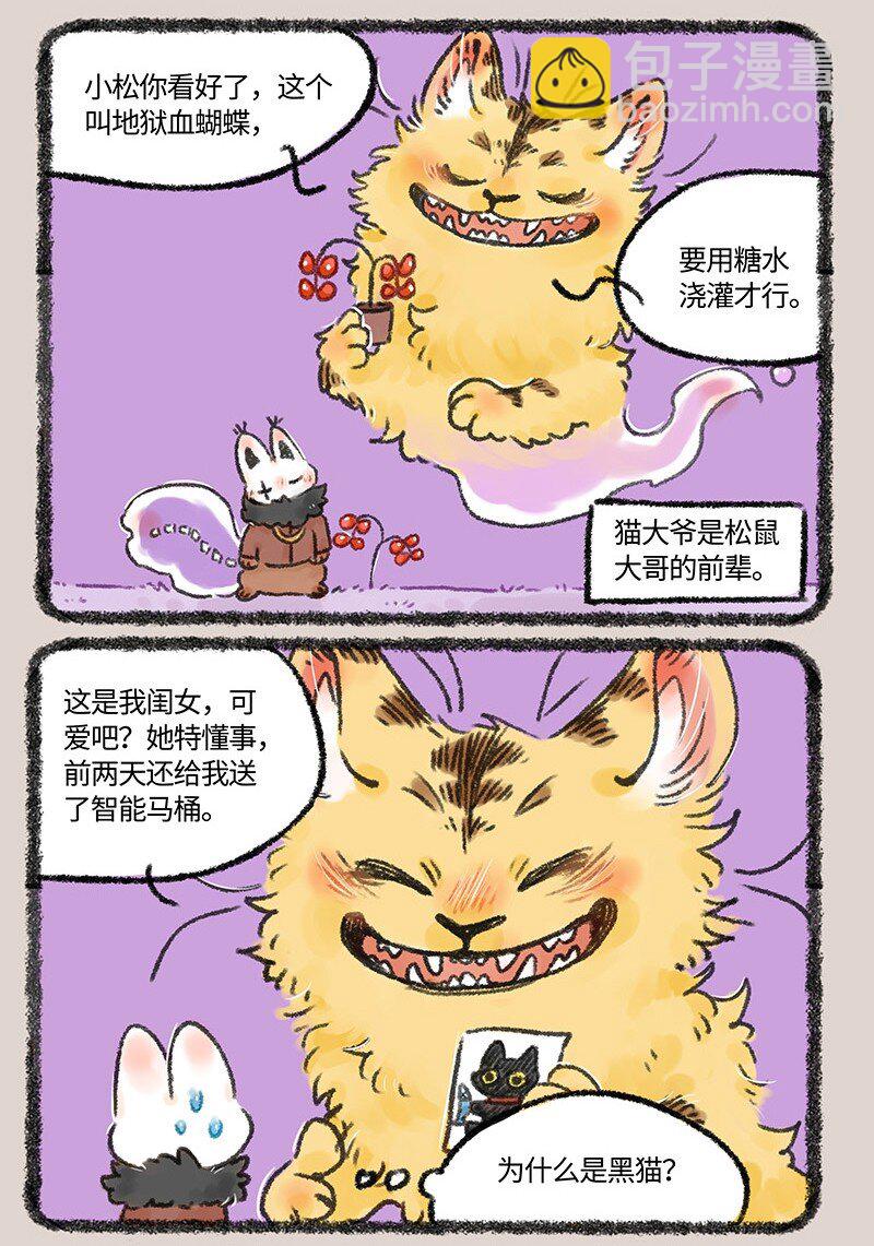 🍜有兽焉 593 浇花的猫大爷 第3页