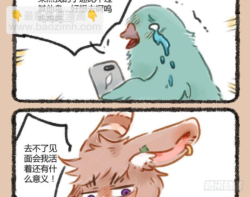 🍜有兽焉 爱豆的票 第3页