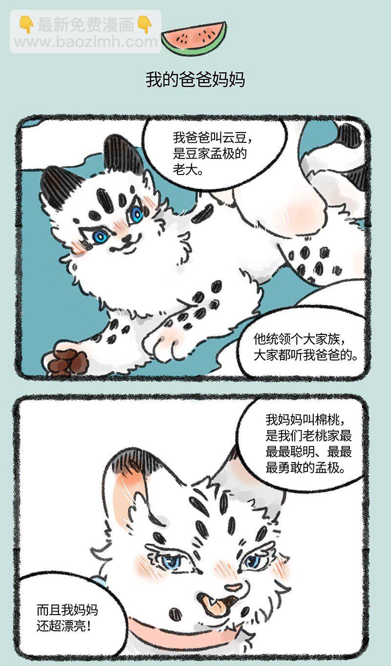 🍜有兽焉 627 核桃的爸爸妈妈 第4页