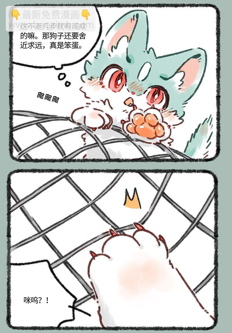 🍜有兽焉 633 猫猫有爪初长成 第3页