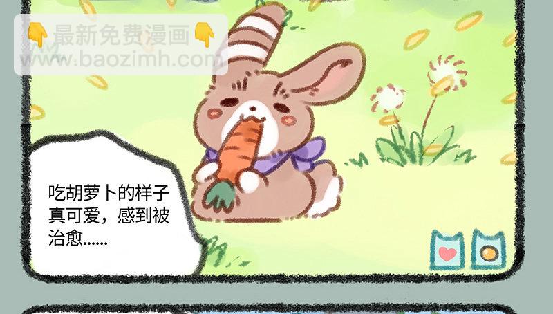 🍜有兽焉 家养神兽惹人怜 第5页