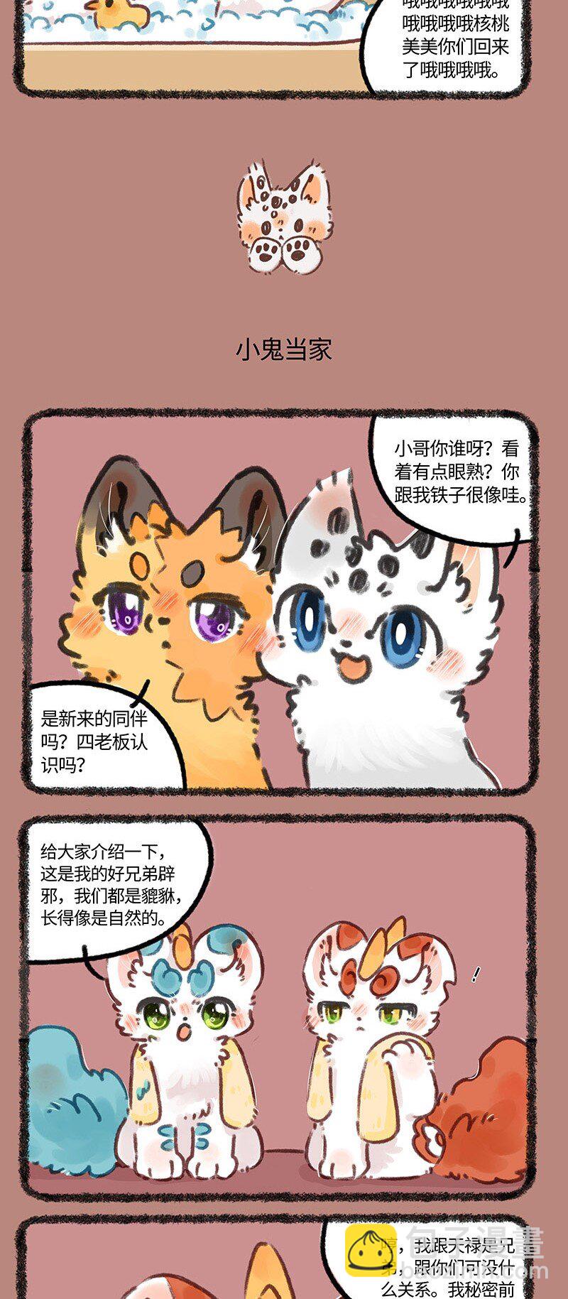🍜有兽焉 696 兄弟拆家 第3页