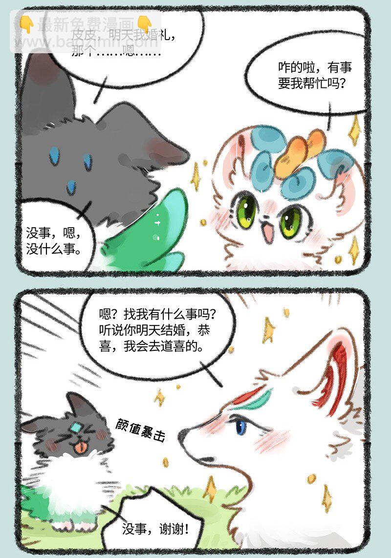 🍜有兽焉 704 婚礼前的准备 第3页