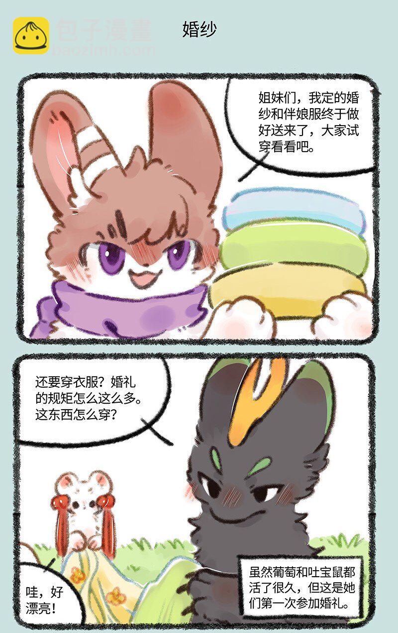 🍜有兽焉 704 婚礼前的准备 第5页