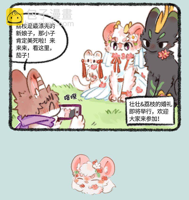 🍜有兽焉 704 婚礼前的准备 第7页