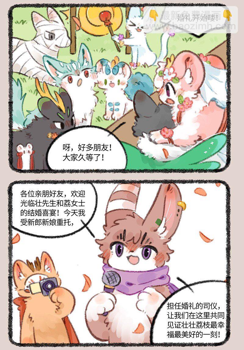 🍜有兽焉 706 盛大的婚礼 第3页