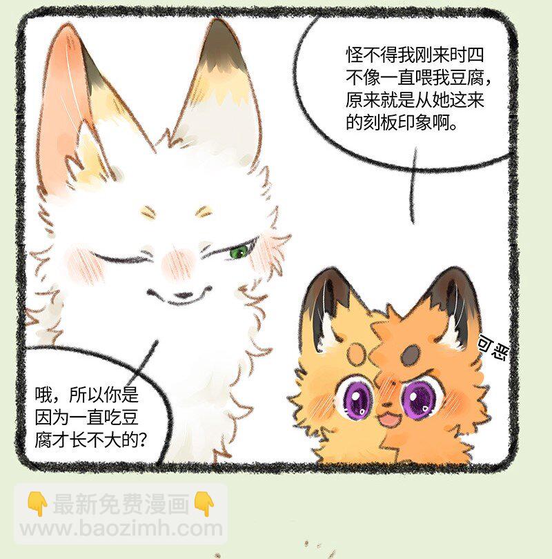 🍜有兽焉 741 狐狸与豆腐 第4页